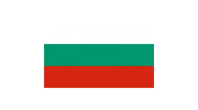 flag-icon